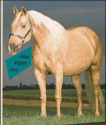 BLUE PEPPY DOC